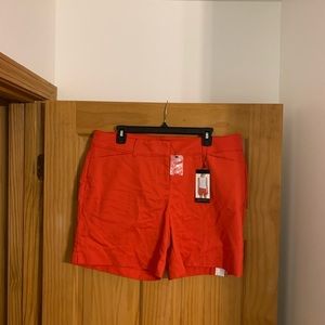 NWT The Limited shorts